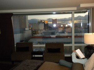Aria: Room View
