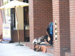 Downtown: Transient (common sight)
