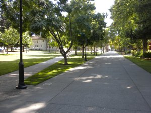 San Carlos St.: A Road in "My Day"
