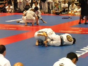 Gracie Martial Arts: demo