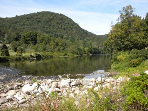 Stunning river view @ Cornwall Bridge