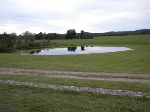 Pond @ Auntie Linda's