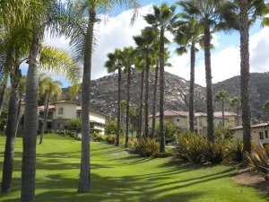 View of the grounds and residences