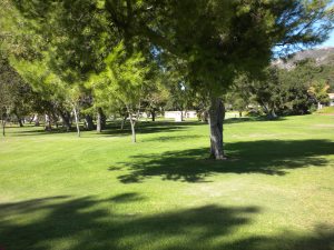 A fairly nice looking course