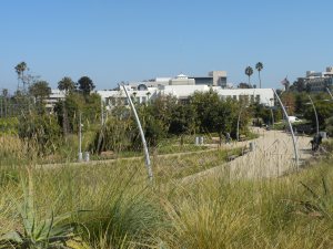 Park near Santa Monica City Hall