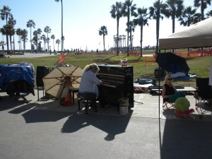 Organist on Display
