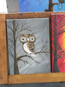 Owl Art
