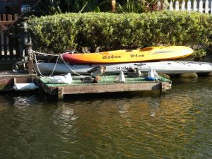 Mallard Ducks on Boat Dock