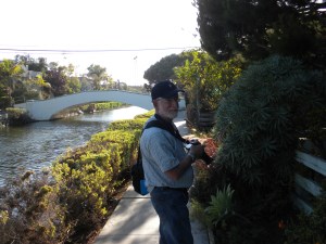 Doc Irv: Venice Canals