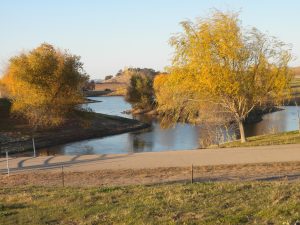 Pretty Pond on the Course