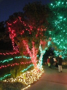 Cambria Christmas Market