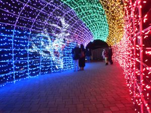 Tunnel of Lights