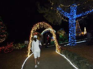 Bella heading into the lights...