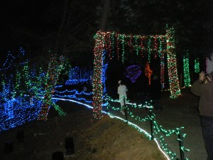 Bella Going Into the Lights...