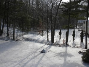 View From Our Bedroom Balcony