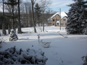 Fresh & Deep Snow @ Dad's