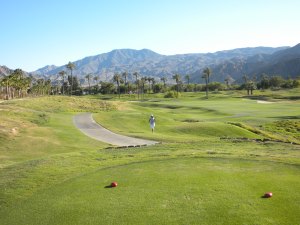 Bella searching for her ball