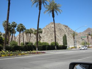 "Ironing Board Surfer"???