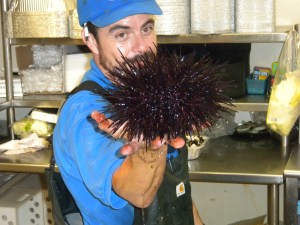 Quality Seafood Inc.: Sea Urchin (Uni)
