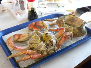Fresh Dungeness Crab