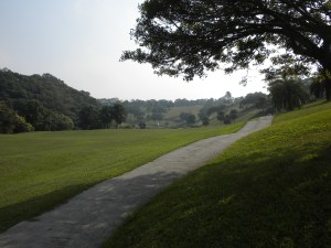 Another Fairway (Front 9)