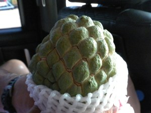 "Buddha Head" Fruit