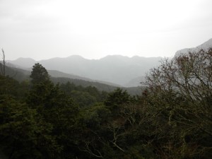 Ali Mountain: View from the Redwood Forest