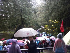 Mainland Chinese are Everywhere on Ali Mountain