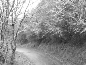 Snow on Ali Mountain?