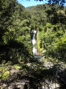Waterfall through the Trees