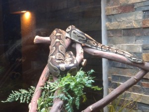 Westin: Indoor Aquarium