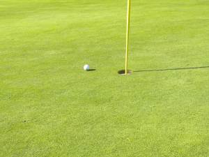 Bella's Ball 6 Inches from Hole