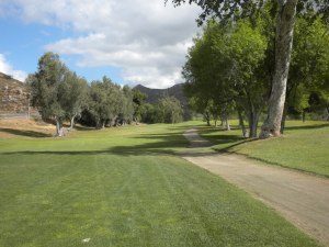 Pine Glen Course
