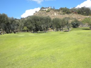 Another Crazy Green on Pine Glen Course