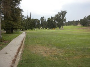 Wilson Course: Par 3 Hole
