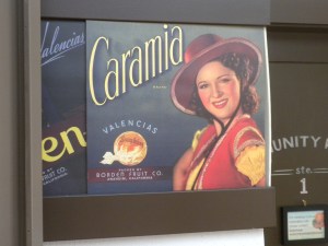 Vintage Citrus Poster