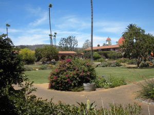 Courtyard: Lawn area