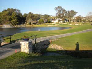 Par 3: I birdied it...