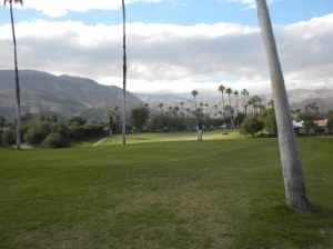 Course, Mountains, Clouds and Palms, oh my...