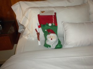 Bella Loves the Stocking on Pillow