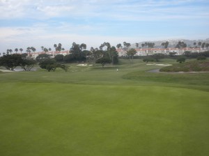 Elfie's approach shot