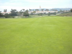 I sunk this 25-30 foot putt for "bird dog"